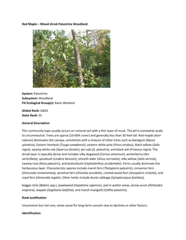 Red Maple – Mixed Shrub Palustrine Woodland System: Palustrine