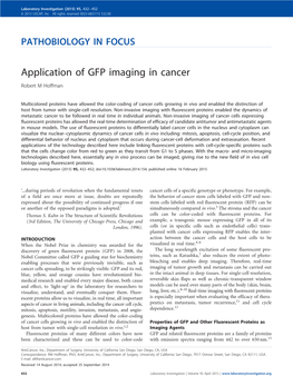 Application of GFP Imaging in Cancer Robert M Hoffman