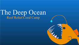 The Deep Ocean Reef Relief Coral Camp DEEP OCEAN: How Much Do We Know?
