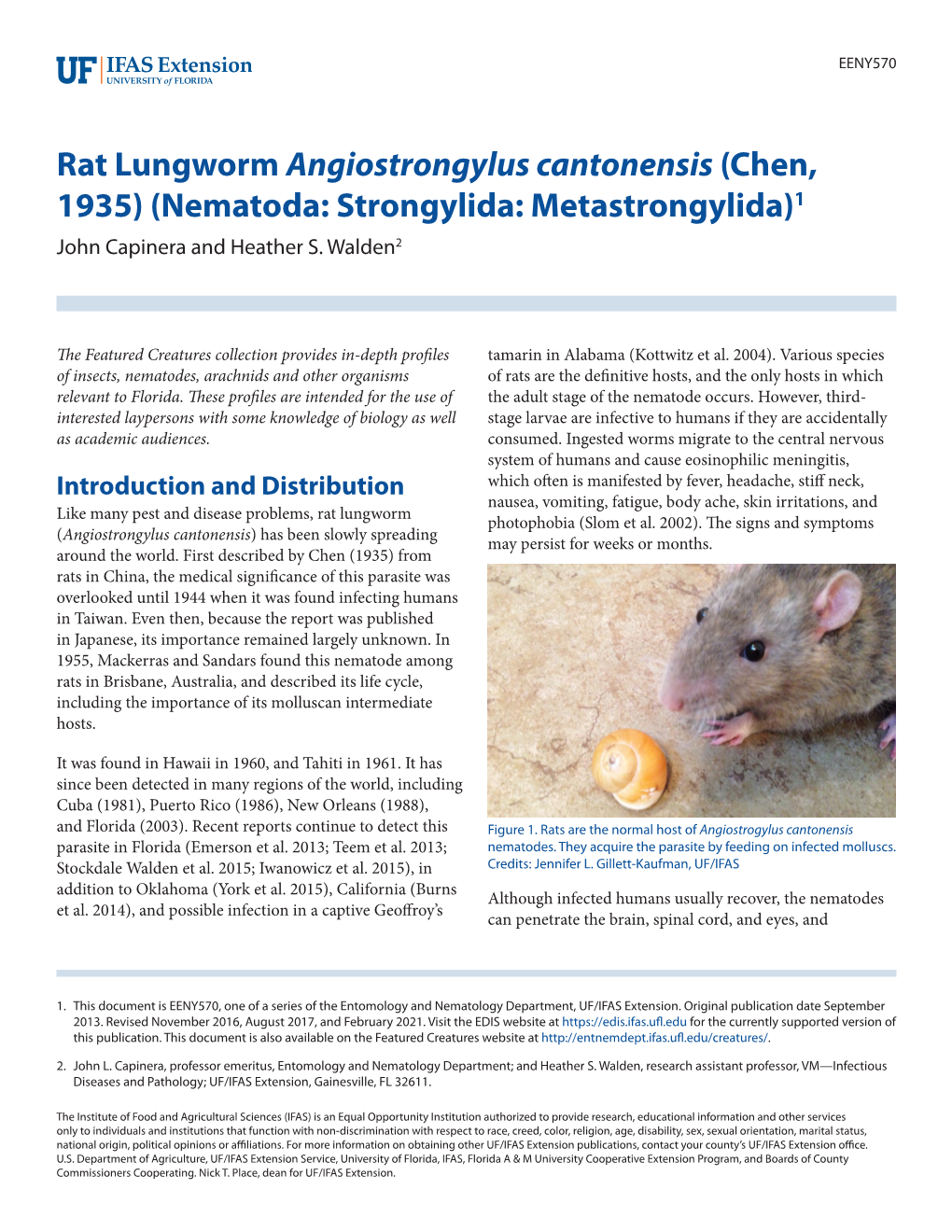 Rat Lungworm Angiostrongylus Cantonensis (Chen, 1935) (Nematoda: Strongylida: Metastrongylida)1 John Capinera and Heather S