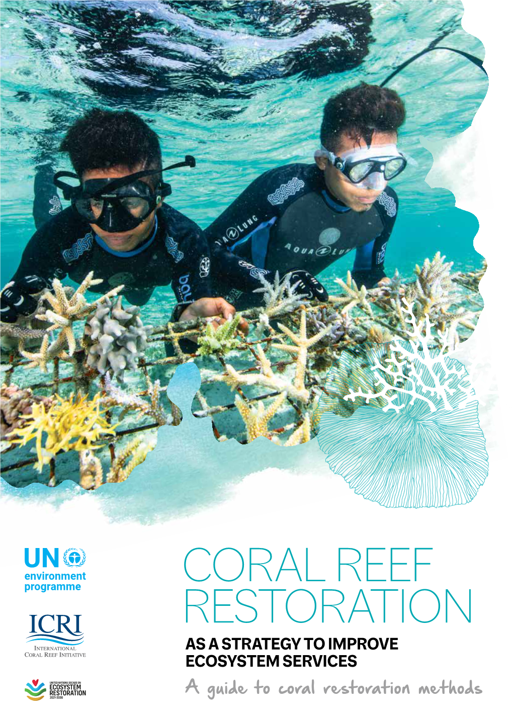 Coral Reef Restoration