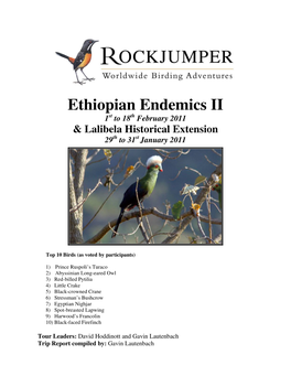Ethiopian Endemics II 1St to 18 Th February 2011 & Lalibela Historical Extension 29 Th to 31 St January 2011
