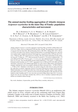 The Annual Marine Feeding Aggregation of Atlantic Sturgeon Acipenser Oxyrinchus in the Inner Bay of Fundy: Population Characteristics and Movement