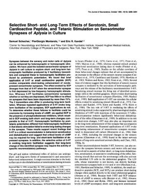 And Long-Term Effects of Serotonin, Small Cardioactive Peptide, and Tetanic Stimulation on Sensorimotor Synapses of Aplysia in Culture