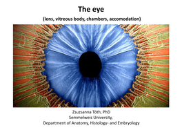 The Eye (Lens, Vitreous Body, Chambers, Accomodation)