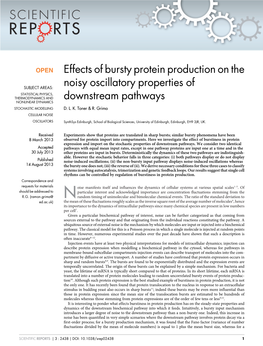 Effects of Bursty Protein Production on the Noisy Oscillatory