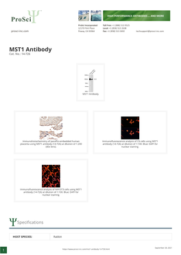 MST1 Antibody Cat