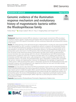 Genomic Evidence of the Illumination Response Mechanism and Evolutionary History of Magnetotactic Bacteria Within the Rhodospiri