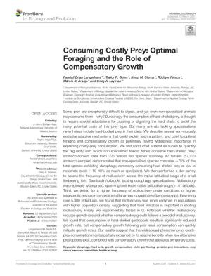 Optimal Foraging and the Role of Compensatory Growth