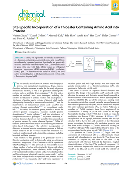 Site-Specific Incorporation of a Thioester Containing Amino Acid Into Proteins
