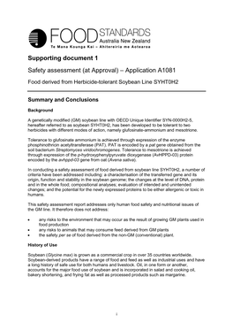 Supporting Document 1 Safety Assessment