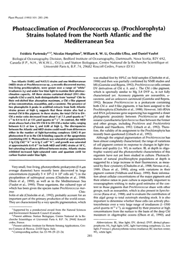 Prochlorophyta) Strains Lsolated from the North Atlantic and the Mediterranean Sea