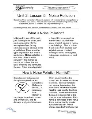 Unit 2. Lesson 5. Noise Pollution