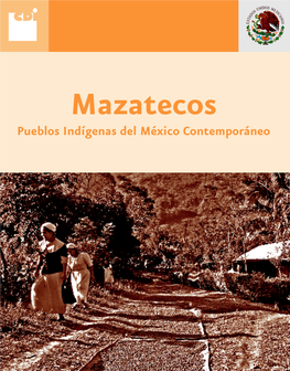 Mazatecos Pueblos Indígenas Del México Contemporáneo