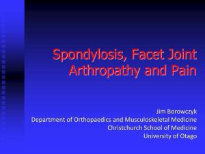 Spondylosis , Facet Joint Arthropathy and Pain