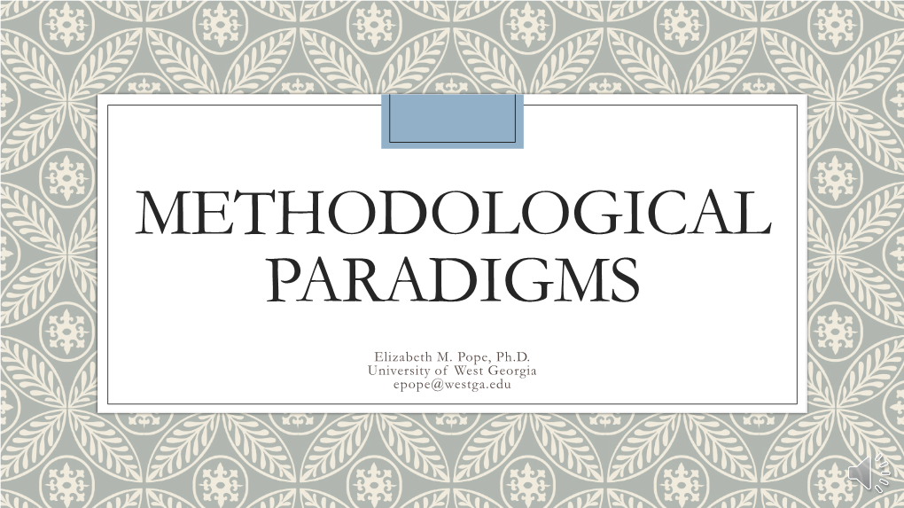 Methodological Paradigms