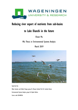 Reducing River Export of Nutrients from Sub-Basins to Lake Dianchi in The