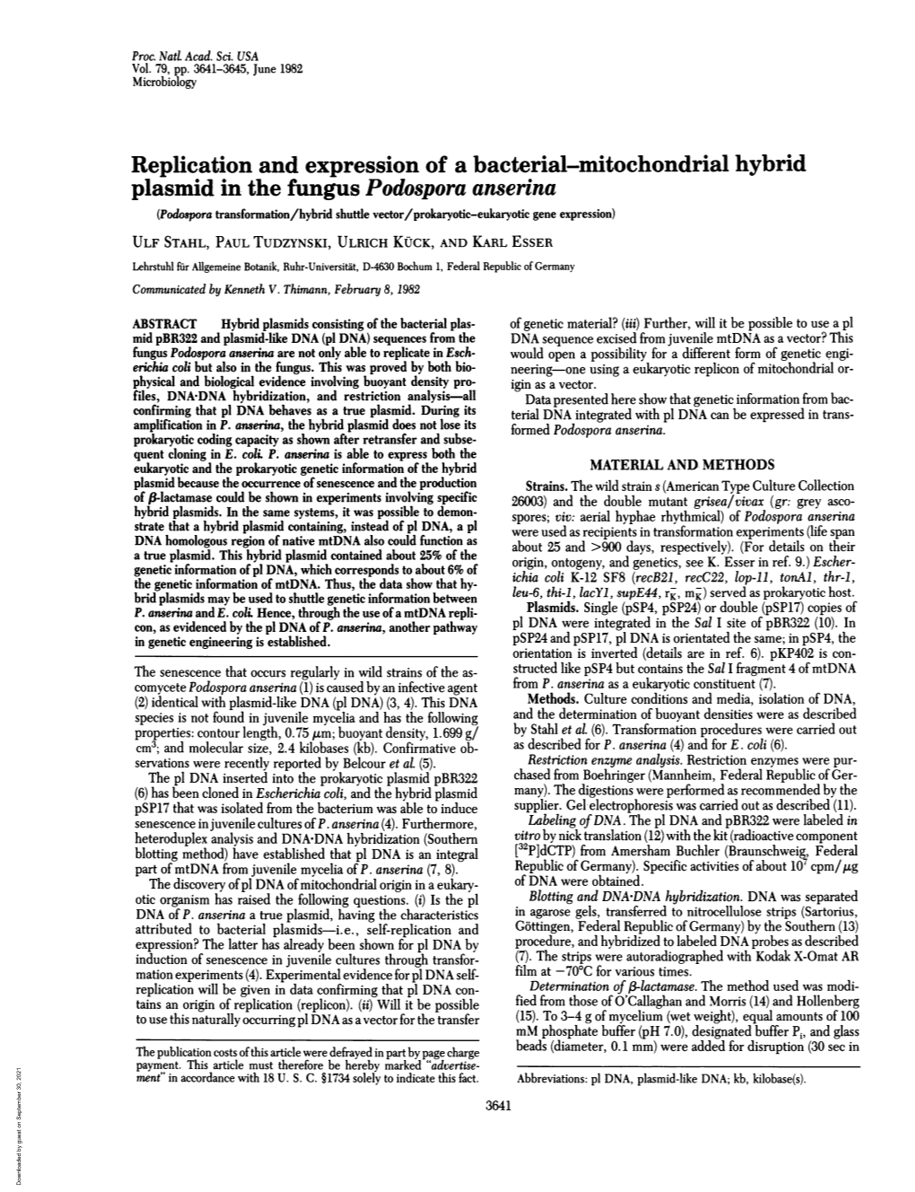 Replication and Expression of a Bacterial-Mitochondrial Hybrid