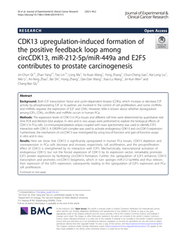 CDK13 Upregulation-Induced Formation of the Positive Feedback Loop Among Circcdk13, Mir-212-5P/Mir-449A and E2F5 Contributes To
