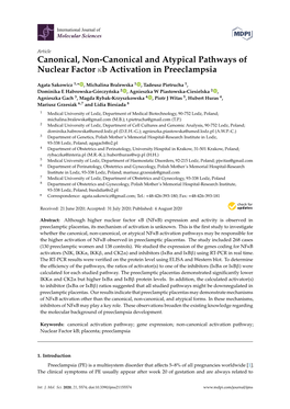 Canonical, Non-Canonical and Atypical Pathways of Nuclear Factor Кb Activation in Preeclampsia