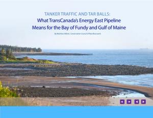 What Transcanada's Energy East Pipeline Means for the Bay of Fundy