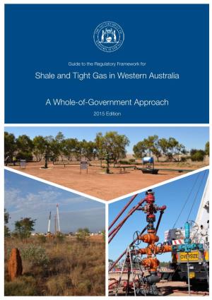Shale and Tight Gas Framework