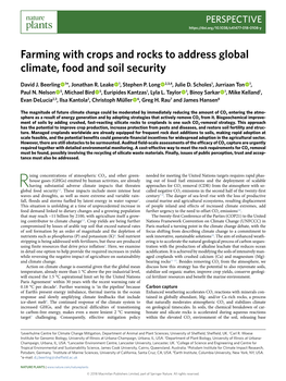 Farming with Crops and Rocks to Address Global Climate, Food and Soil Security