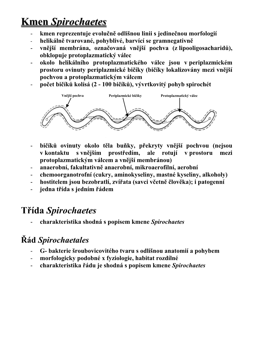 Třída Spirochaetes