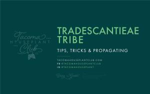 Tips, Tricks & Propagating