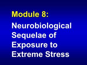 Module 8: Neurobiological Sequelae of Exposure to Extreme Stress Brain Development