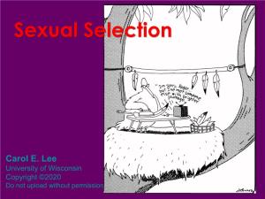 Sexual Selection