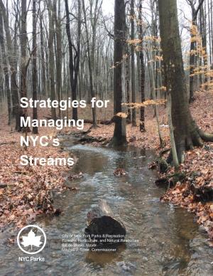 Strategies for Managing NYC's Streams