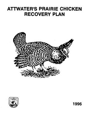 Attwater's Prairie Chicken Recovery Plan