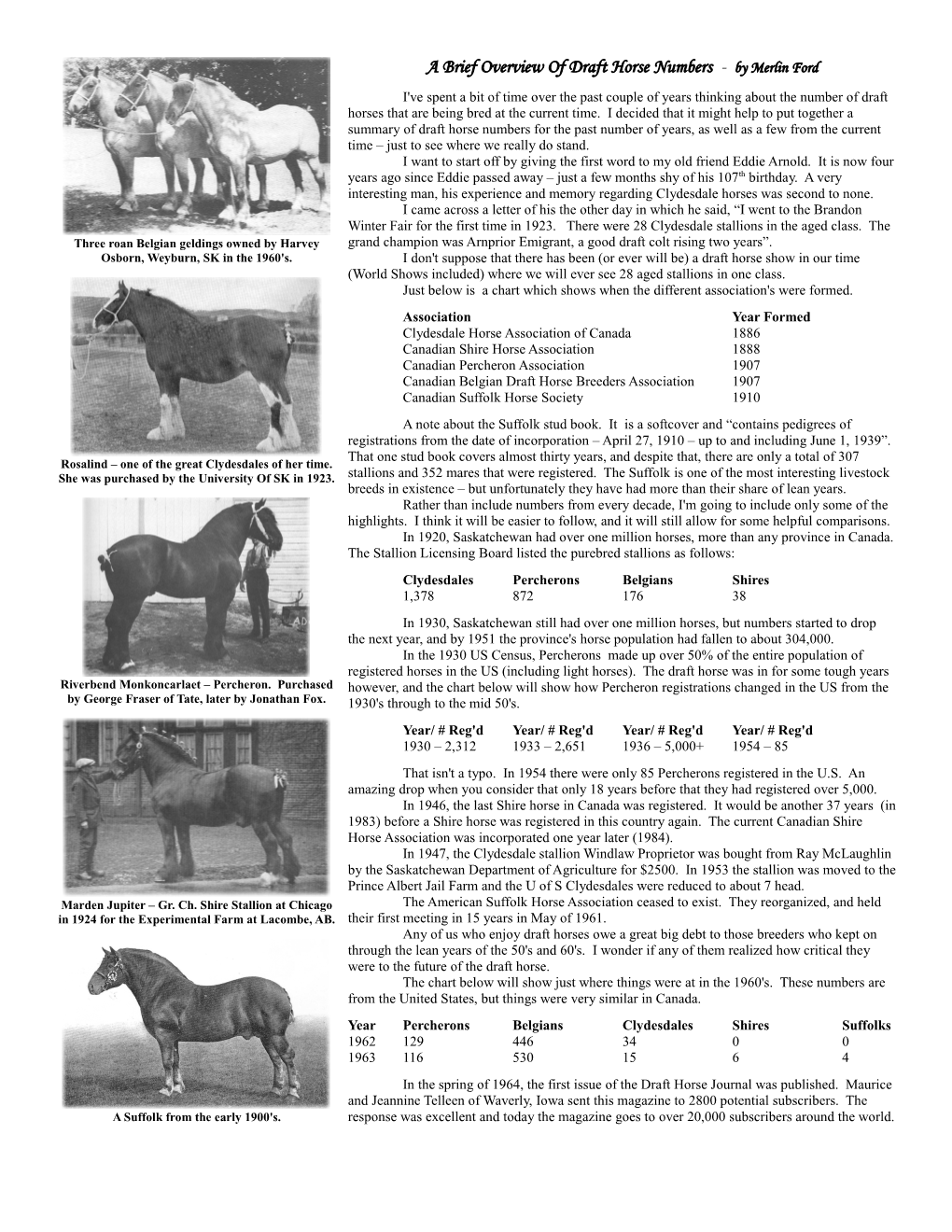 A Brief Overview of Draft Horse Numbers