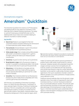 Amersham™ Quickstain