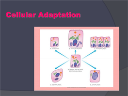 Cellular Adaptation the Very Best Way for Most Minds to Remember, Or Identify, Or Understand a Disease Is to Associate It with a Morphologic IMAGE