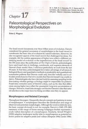Paleontologies! Perspectives on Morphological Evolution
