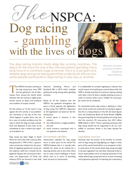 Dog Racing - Gambling with the Lives of Dogs