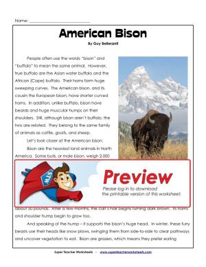 American Bison by Guy Belleranti