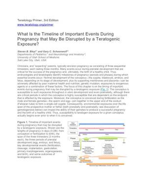 What Is the Timeline of Important Events During Pregnancy That May Be Disrupted by a Teratogenic Exposure?