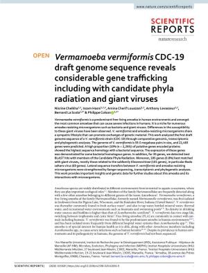 Vermamoeba Vermiformis CDC-19 Draft Genome Sequence Reveals