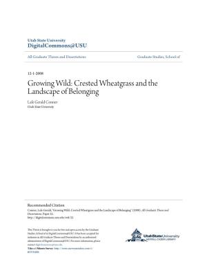 Growing Wild: Crested Wheatgrass and the Landscape of Belonging Lafe Gerald Conner Utah State University