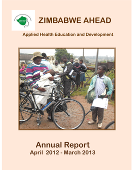 2012 Zim AHEAD Report
