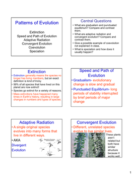 Protein Synthesis