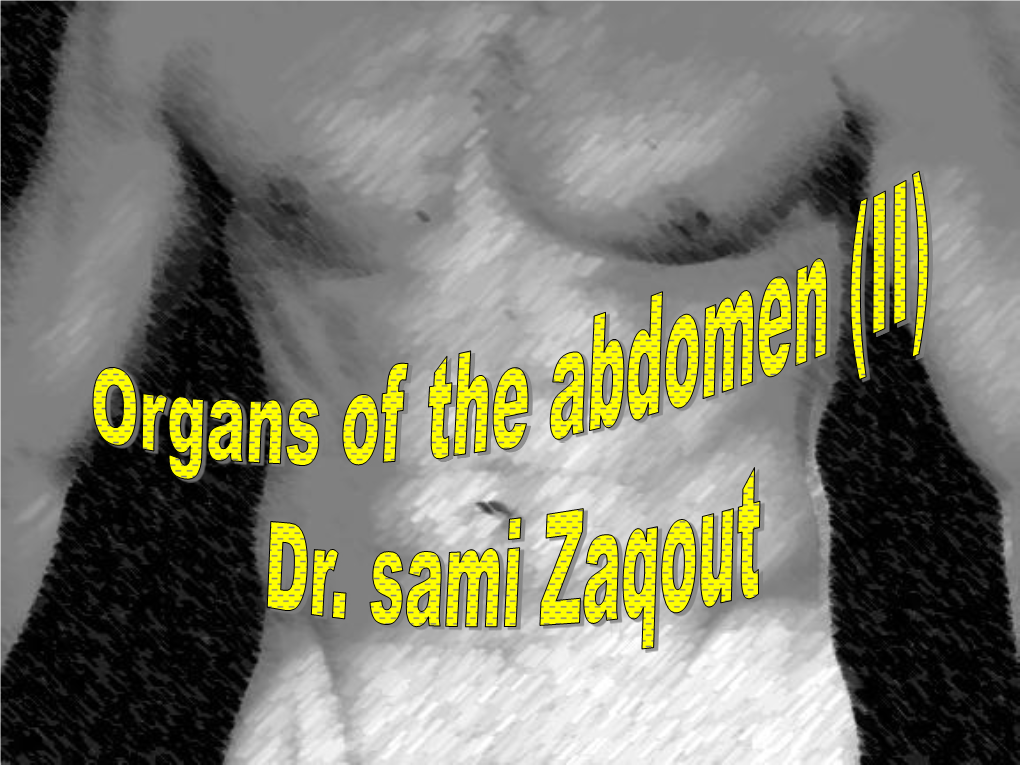 Organs-Of-The-Abdomen-II.Pdf