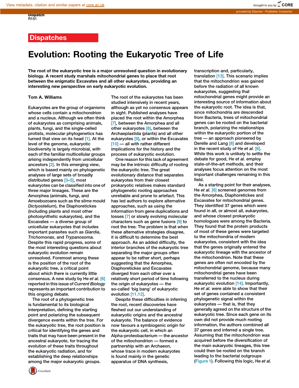 Evolution: Rooting the Eukaryotic Tree of Life