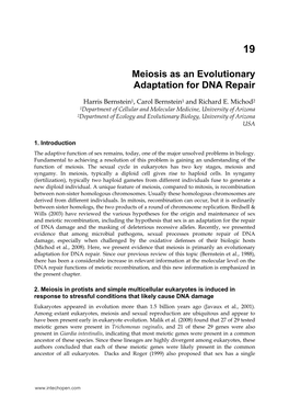 Meiosis As an Evolutionary Adaptation for DNA Repair