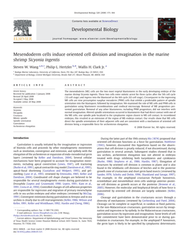 Developmental Biology 320 (2008) 175–184