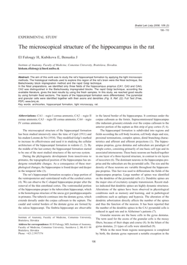 The Microscopical Structure of the Hippocampus in the Rat
