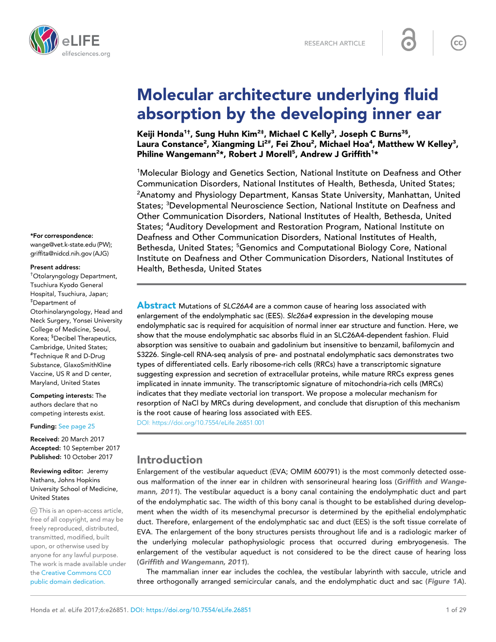 Molecular Architecture Underlying Fluid Absorption by the Developing Inner